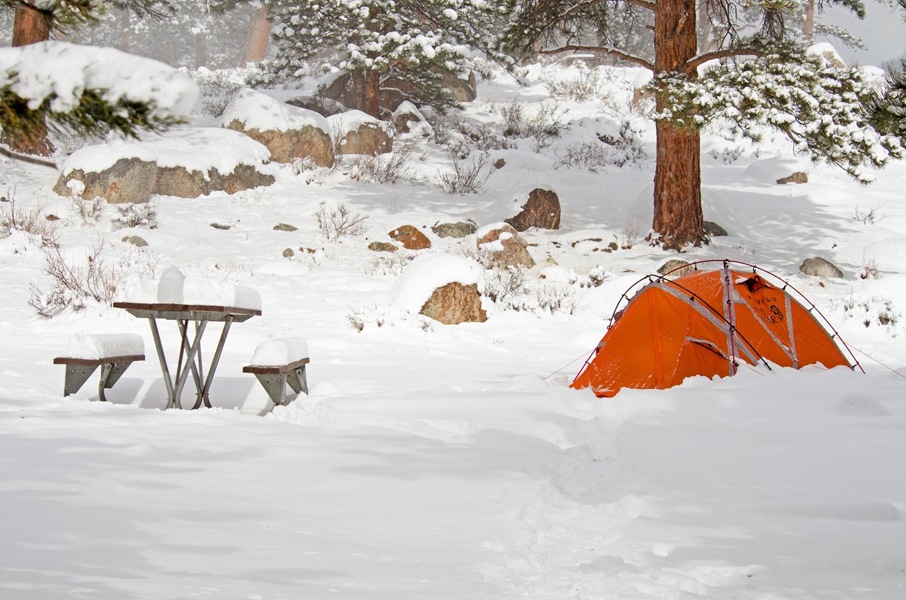 Campgrounds - Rocky Mountain National Park (U.S. National Park