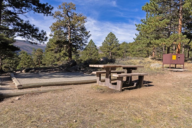 Tent and bear box at Moraine Park Campground