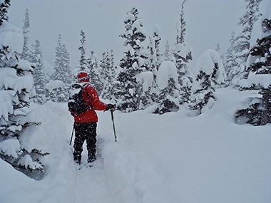Snowshoeing near Emerald Lake_003