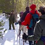 Snowshoeing with a Ranger
