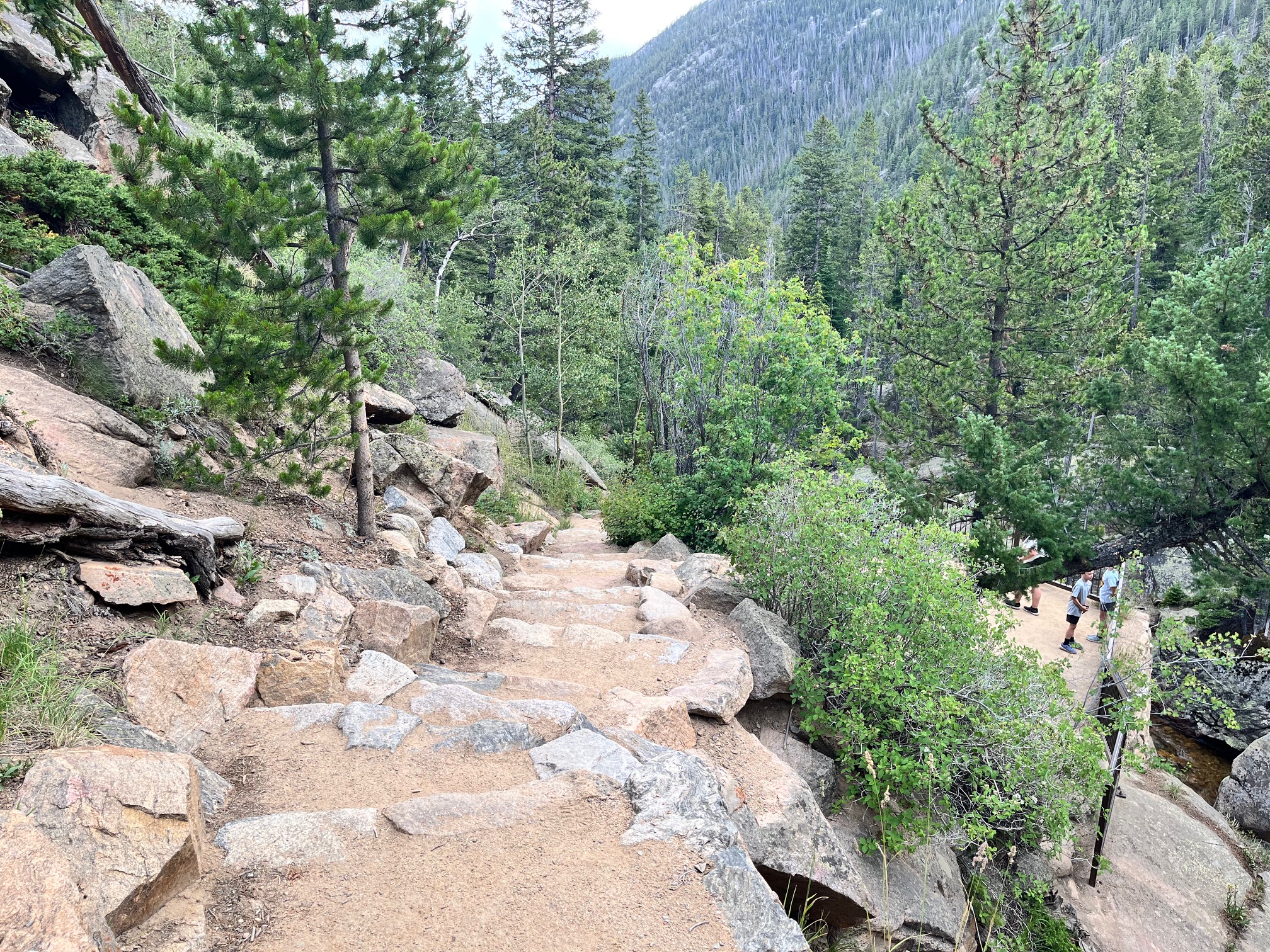 Steps on the Chasm Falls Trail