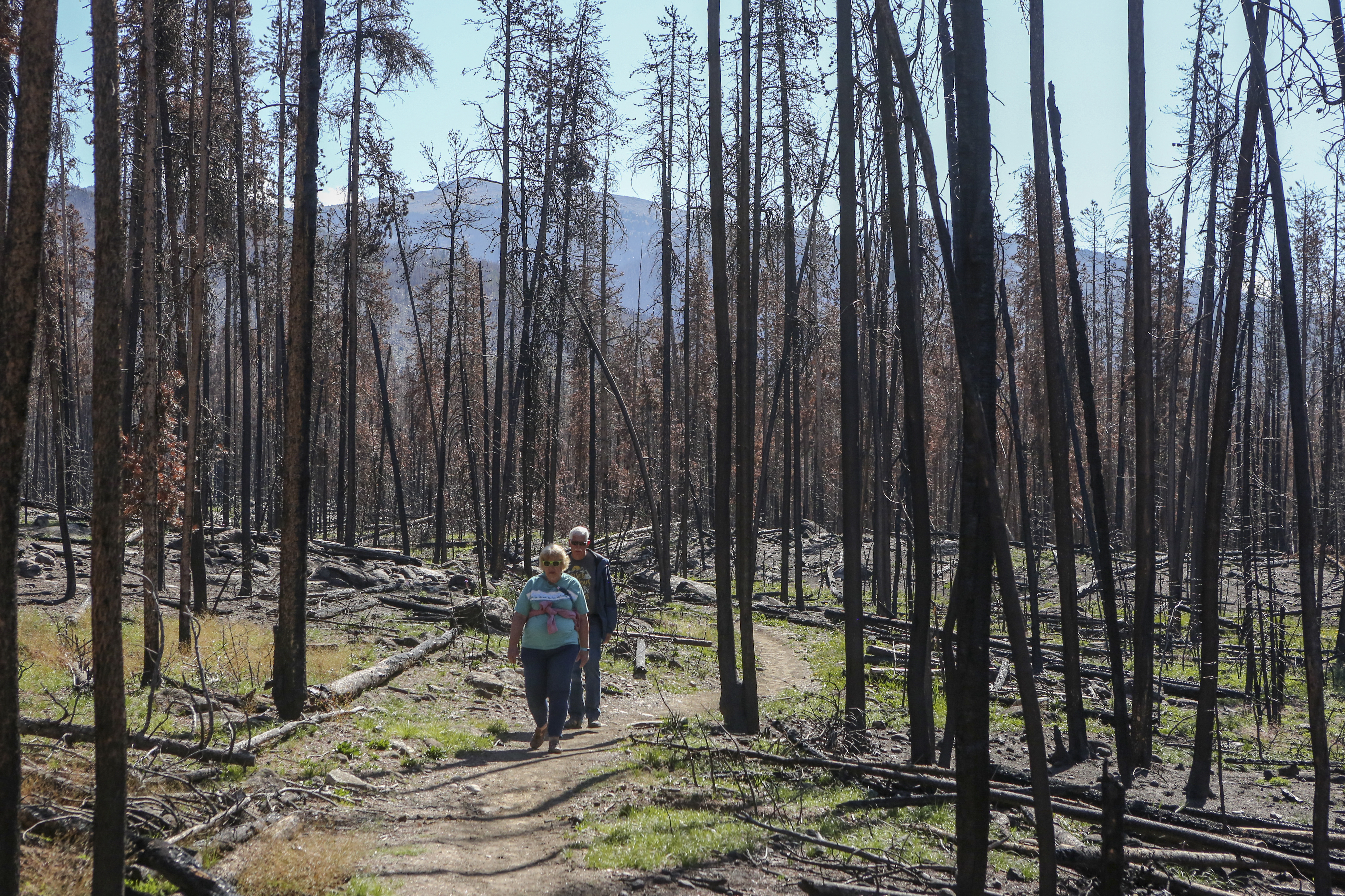 Fünf Geheimnisse über Containerpools, die Sie noch immer nicht kennen