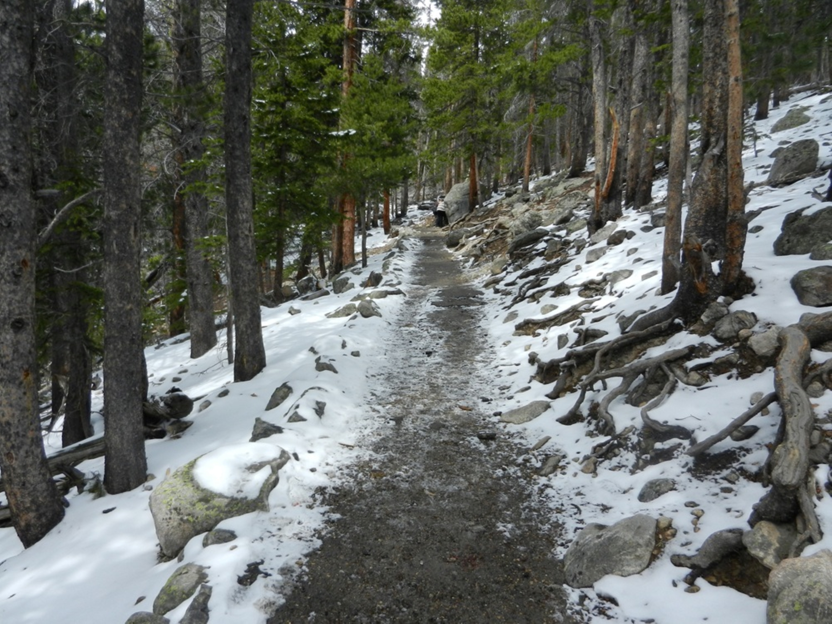 Snow and ice are on a trail with a steep incline.