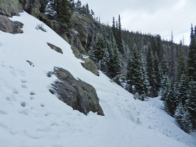 Trail near Nymph Lake, covered with snow and ice