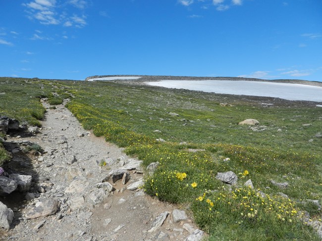 Flattop Mountain Trail Between Emerald Lake Overlook and Flattop Mountain