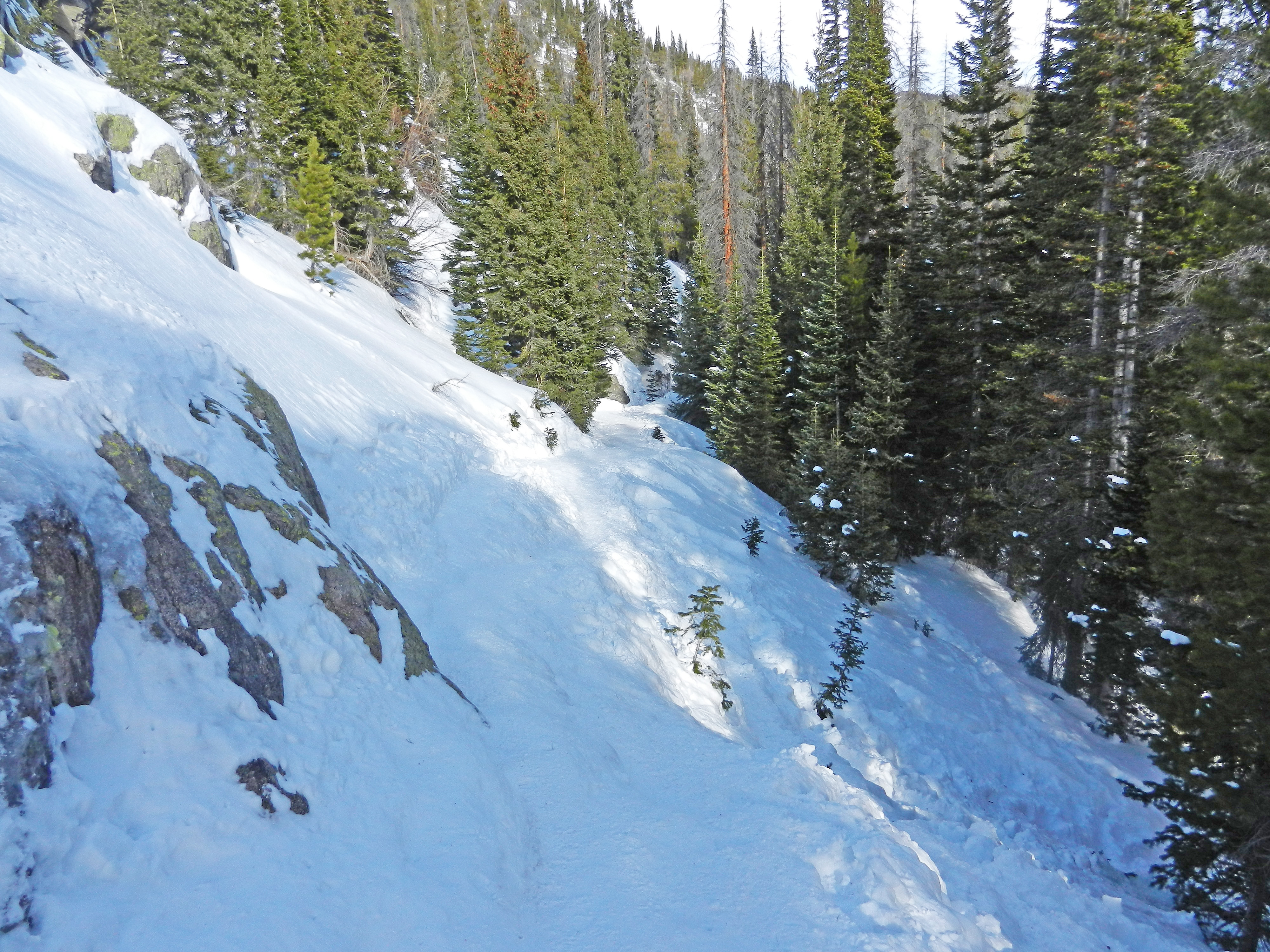 Trail to Dream Lake Before Nymph Overlook