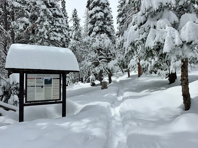 Snow on the trail at the Trailhead for Emerald Lake