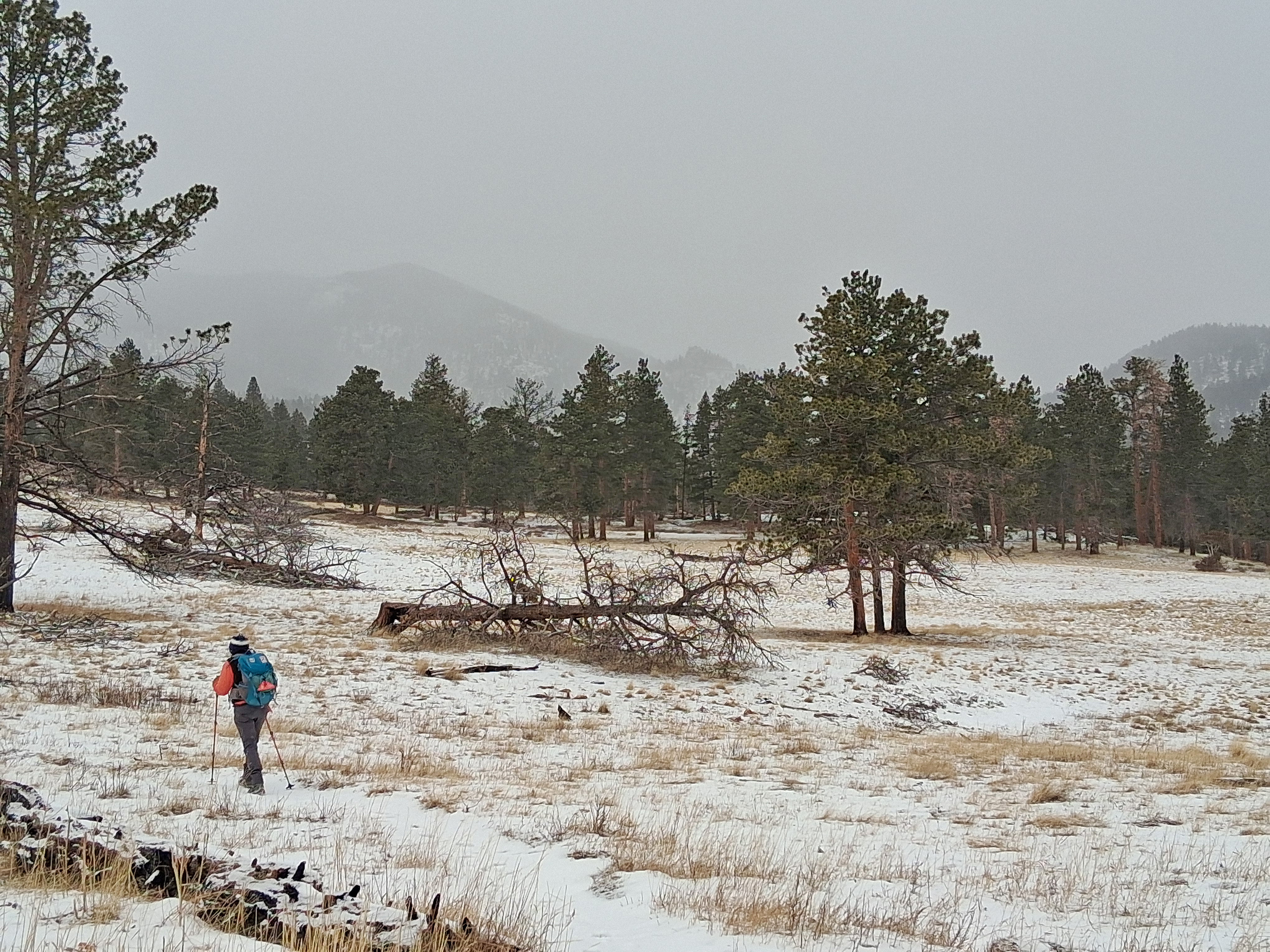 Upper Beaver Meadows Trail with snow