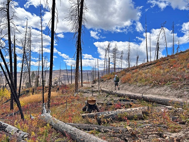 Park visitor is hiking on the Green Mountain Trail in September