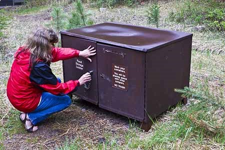 bear box 450 px credit NPS