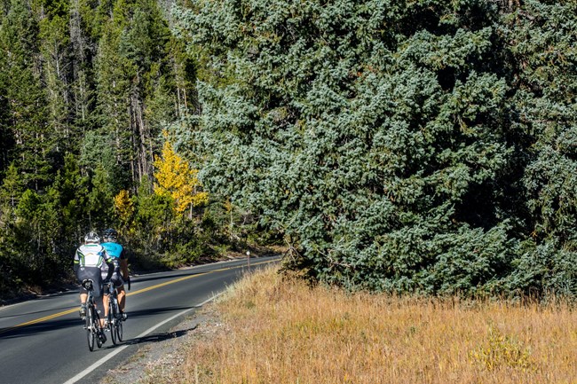 Bicycling on Trail Ridge Road