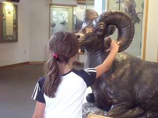 child looking at FRVC display 320X240