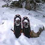 Snowshoes