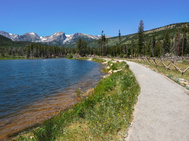 sprague lake in summer