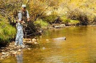 stream fishing 320X212