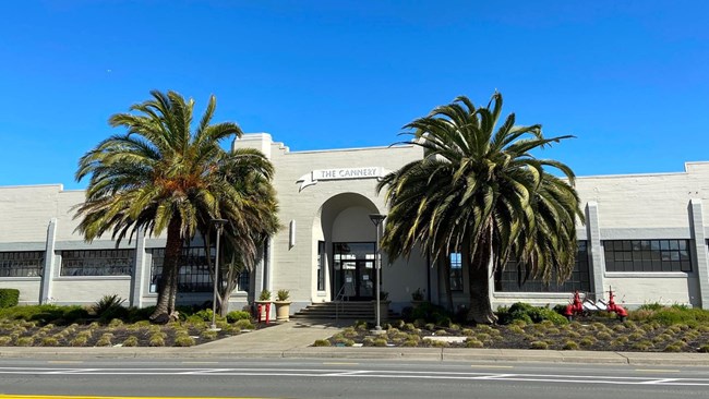 A large building with front door, sidewalk and two palm tree at entrance door.