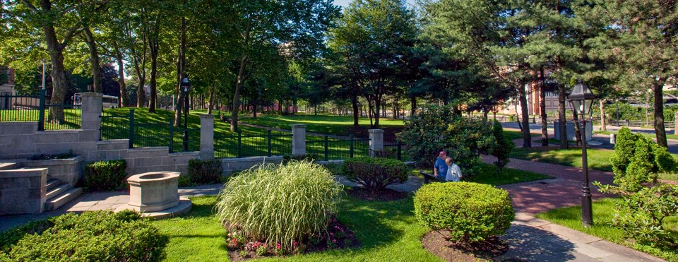 Greenery scene of the park