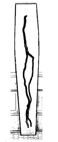 tree root tree root