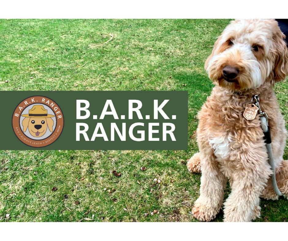 B.A.R.K. Ranger Florence sits wearing her badge