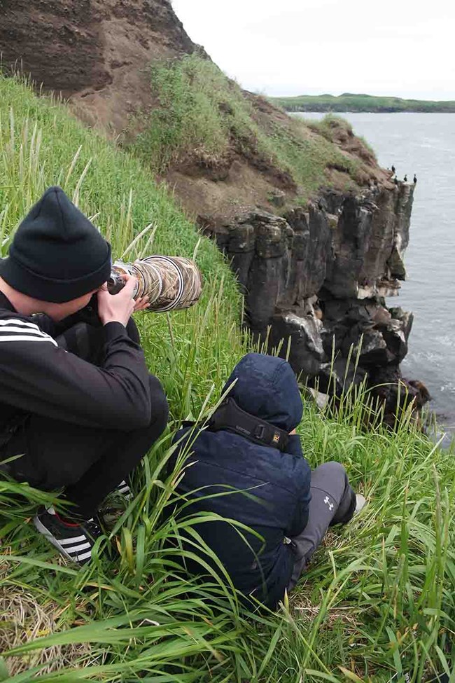 Youth photograph seabirds on the tundra at the cliff edge.