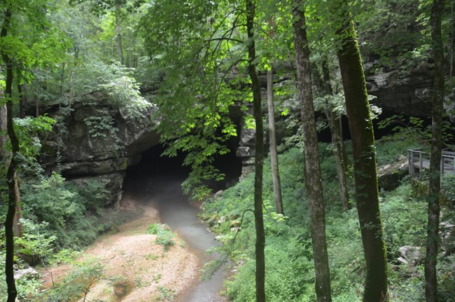 Russell Cave Russell Cave