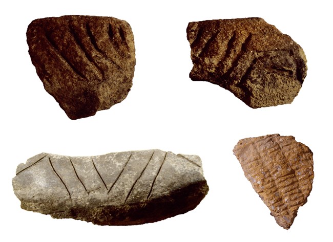 Mississippian pottery shards
