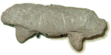 Animal Effigy