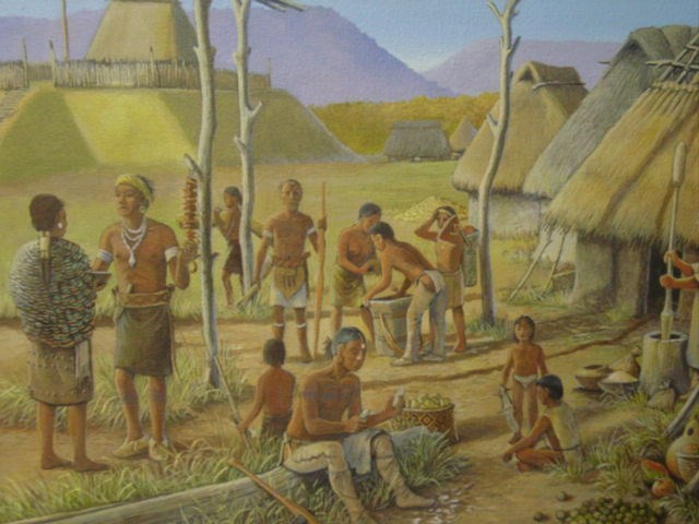 Mississippian Village