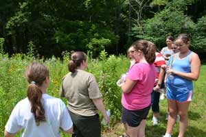 Scouts learning about the Native Wildflowers