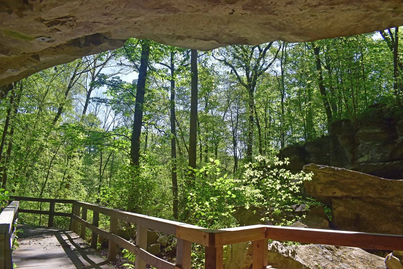 A view looks out from under the opening of a cave, looking back at the boardwalk trail.