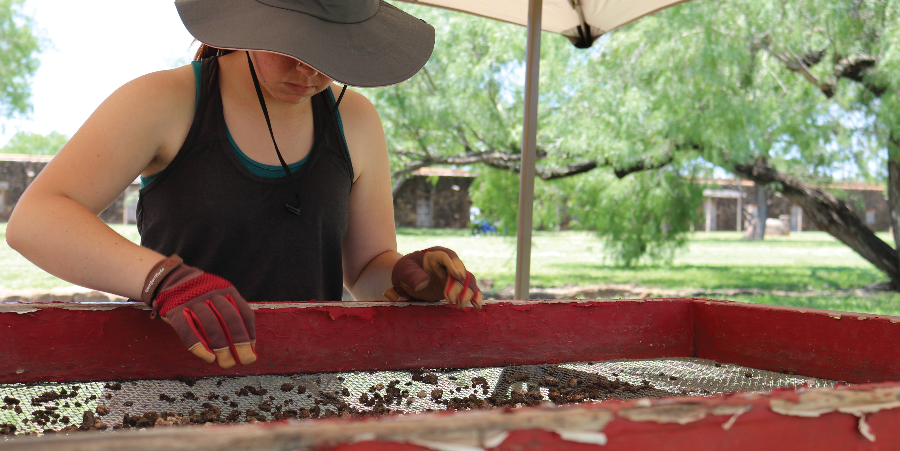 Young female archaeology student screens dirt for artifacts with Mission San Jose Indian Quarters in the background.