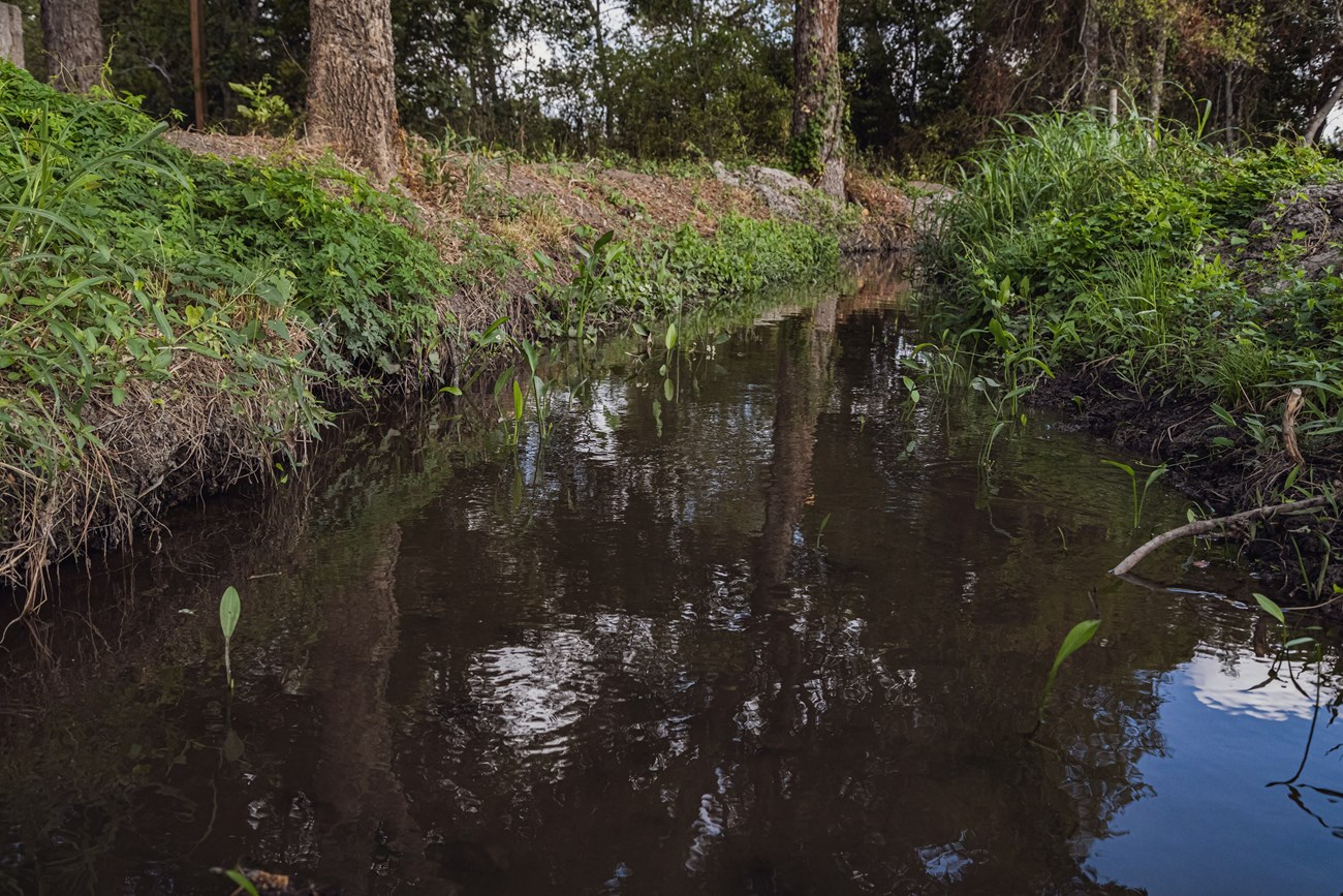 Irrigation Ditch