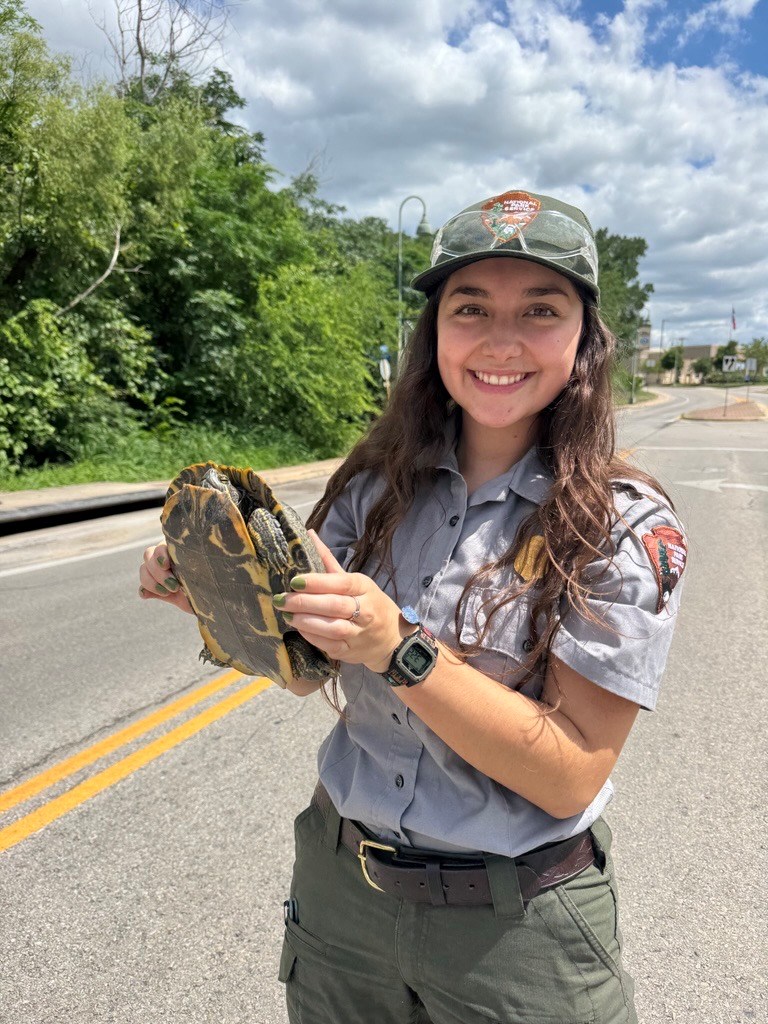 park ranger holding a turtle