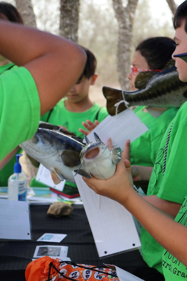 Children stand in a group, holding plastic fish as they listed to the teacher present a lesson on aquatic biodiversity.