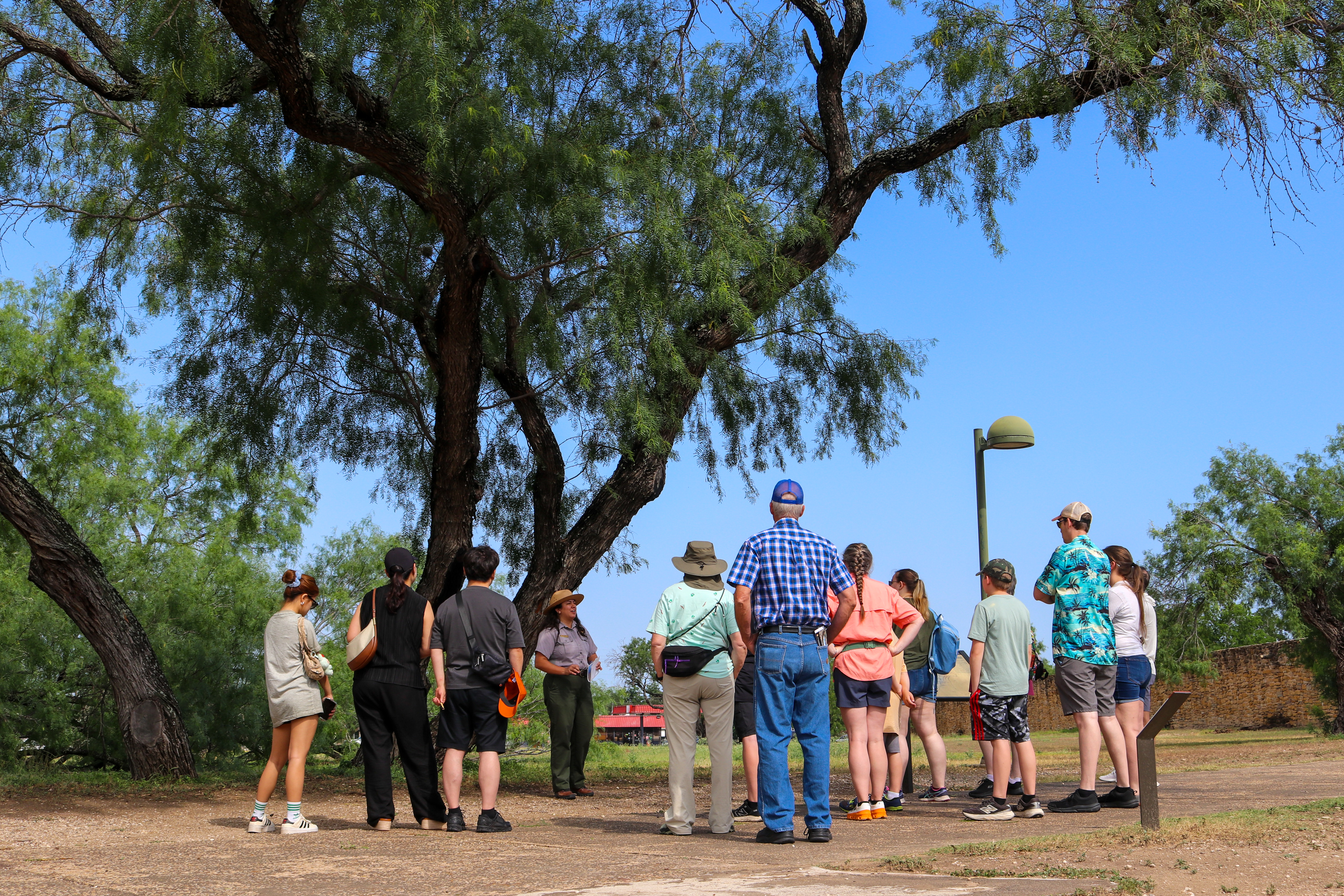 Ranger giving a tour under a large mesquite tree