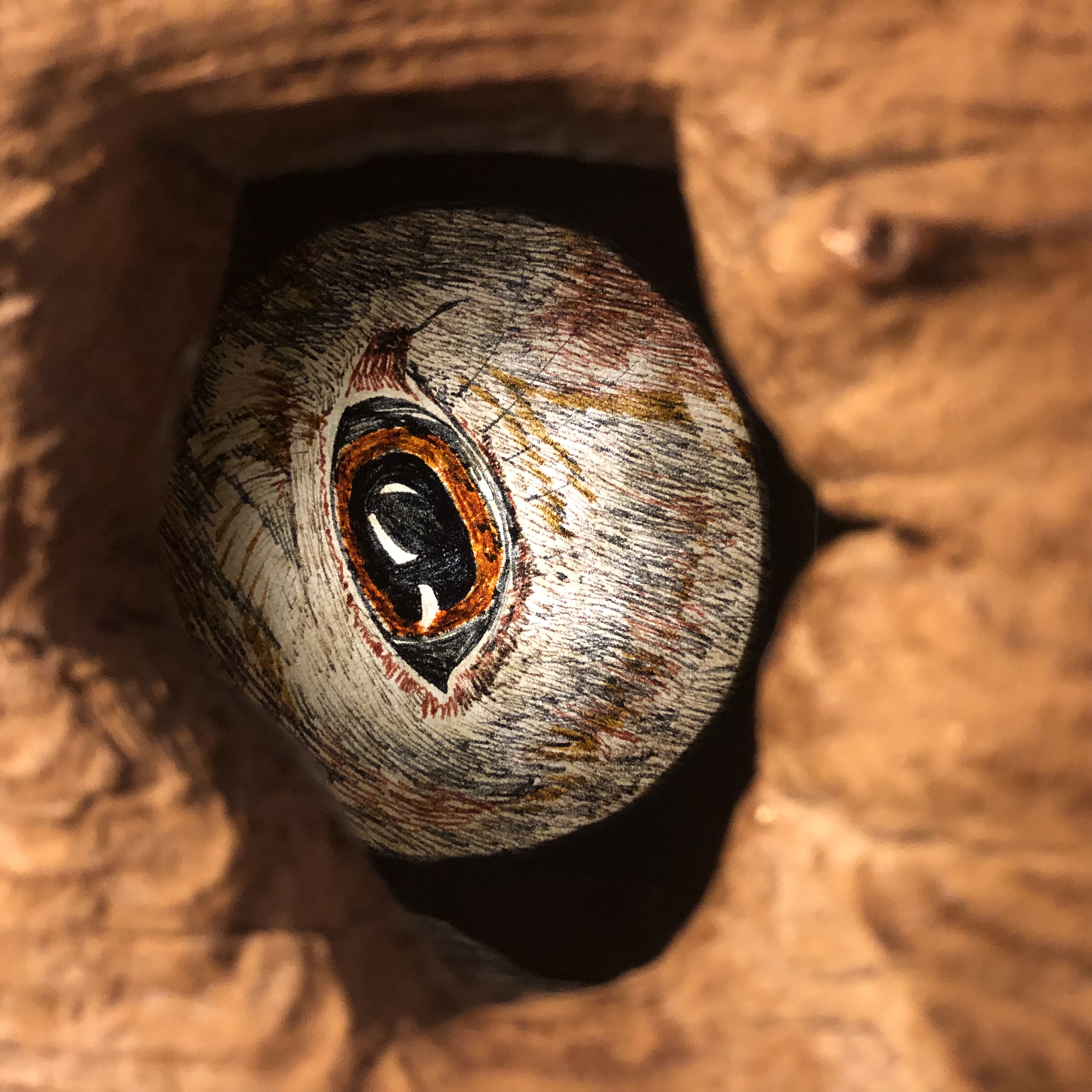 image1 Print of an eye in the granary door.