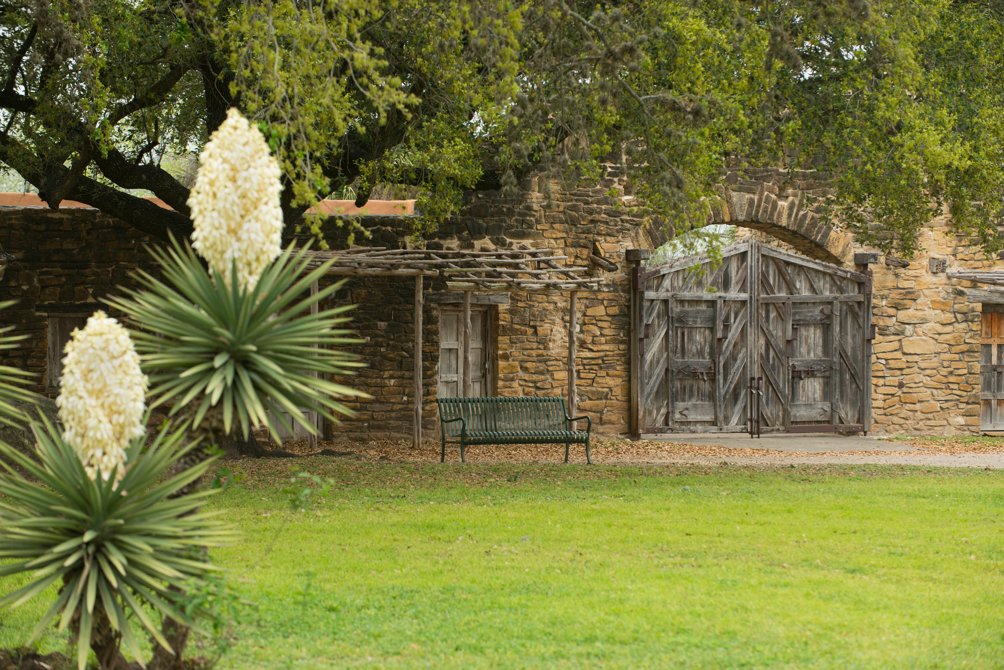 jt-fineart_AIR_182 View inside Mission San Jose with blooming yucca