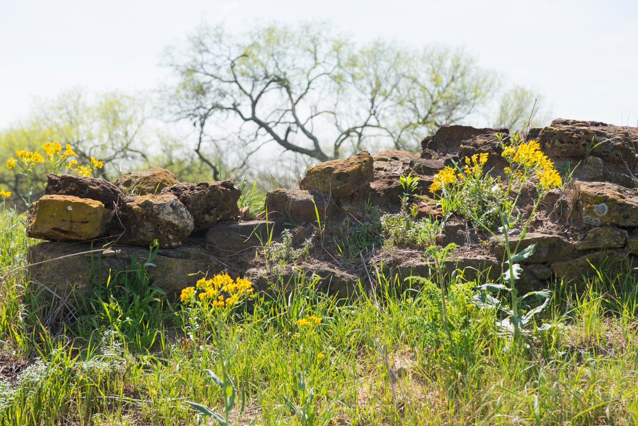 Stone remains in a wildflower prairie