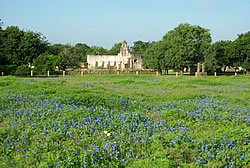 Mission San Juan in a field of wildflowers. Mission San Juan in a field of wildflowers.