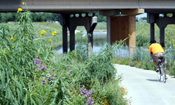 Mission Reach Hike and Bike Trail Mission Reach Hike and Bike Trail