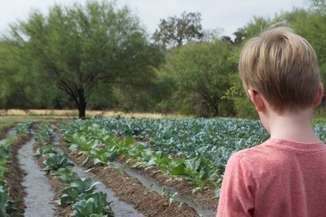 Child viewing Demonstration Farm during an acequia demonstration