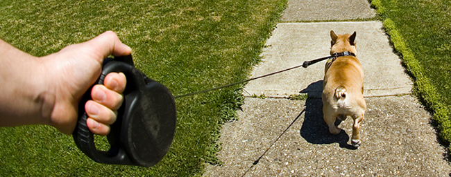 Please keep pets on a leash. Please keep pets on a leash.