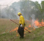 firefighter in yellow shirt and green pants with rake watches small line of fire making sure it stays within the planned boundaries. firefighter in yellow shirt and green pants with rake watches small line of fire making sure it stays within the planned boundaries.