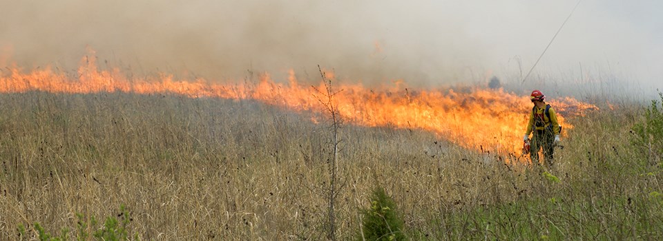 A firefighter drips fire into an open field of brown grass.