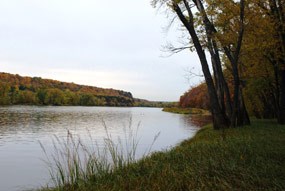 river shoreline shows yellows and oranges of fall leaves under clear skies