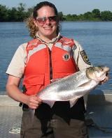 USFWS employee wearing a lifejacket holds a silver carp USFWS employee wearing a lifejacket holds a silver carp