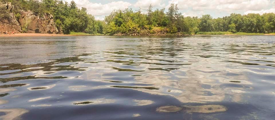 River water near a wooded shoreline.