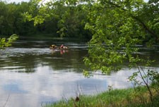 River with canoe, surrounded by green