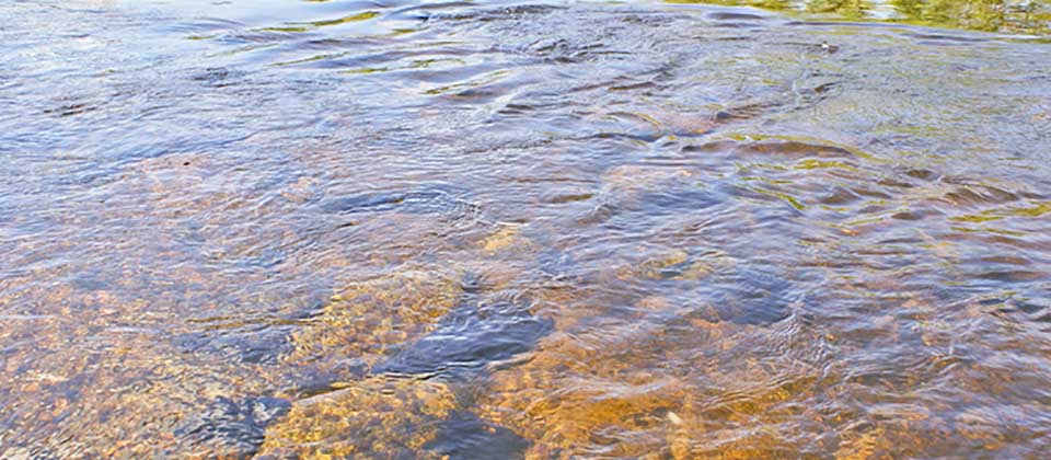 Clear water flows over rocks.