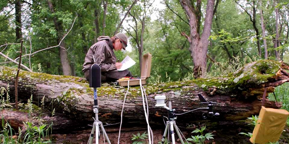 Sound technician collects data A woman sits on a large log in a forest collecting data from machines.